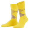 náhled PONOŽKY PRESTON 24284 1140 YELLOW 40-46