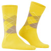 náhled PONOŽKY PRESTON 24284 1140 YELLOW 40-46