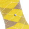 náhled PONOŽKY PRESTON 24284 1140 YELLOW 40-46