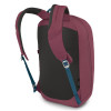 náhled ARCANE LARGE DAY allium red/brndle brown Batoh Osprey