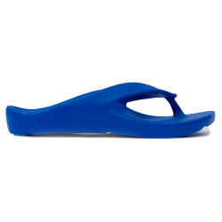 SHARK AZZURRO Obuv Pro Evolution