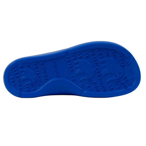 detail SHARK AZZURRO Obuv Pro Evolution