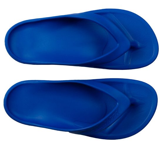 detail SHARK AZZURRO Obuv Pro Evolution