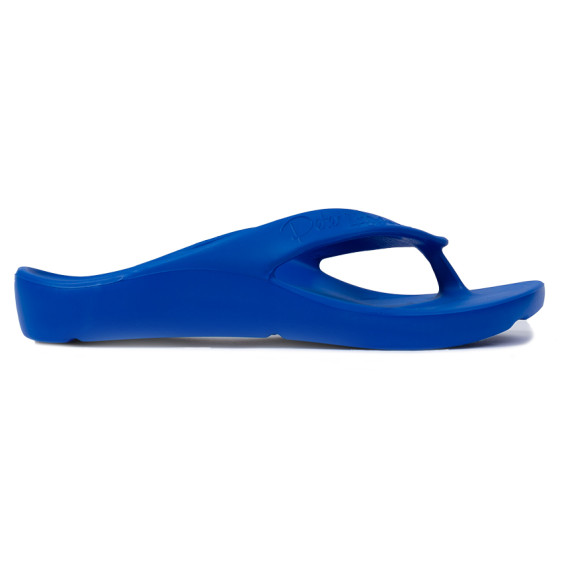 detail SHARK AZZURRO Obuv Pro Evolution