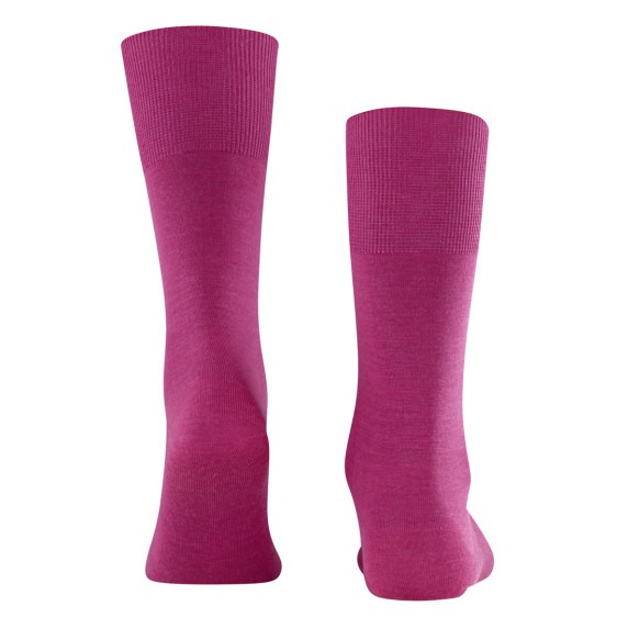 detail 14435 8233 arctic pink 43-44 Ponožky FALKE