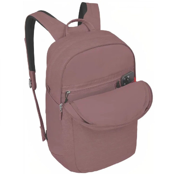 detail ARCANE LARGE DAY purple garnet heather Batoh Osprey
